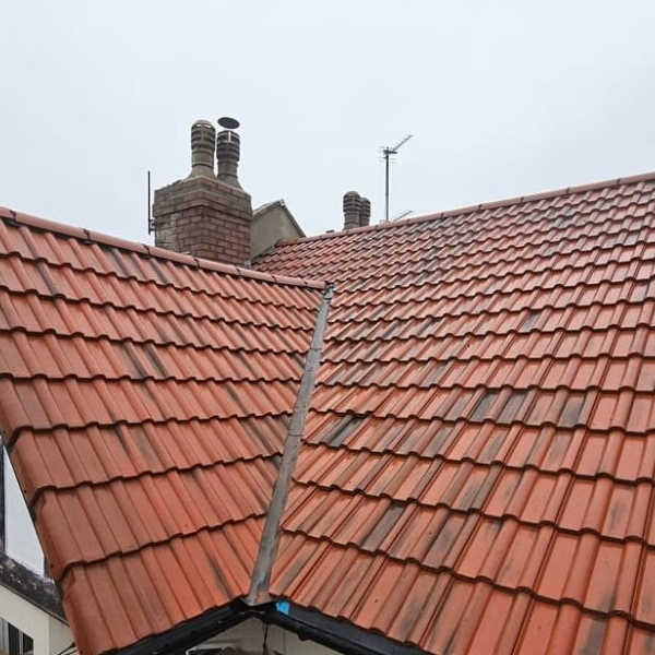 Full Roof Renewal Christmas 2024